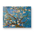 Hand-painted by a senior artist | Van Gogh's Almond Blossoms