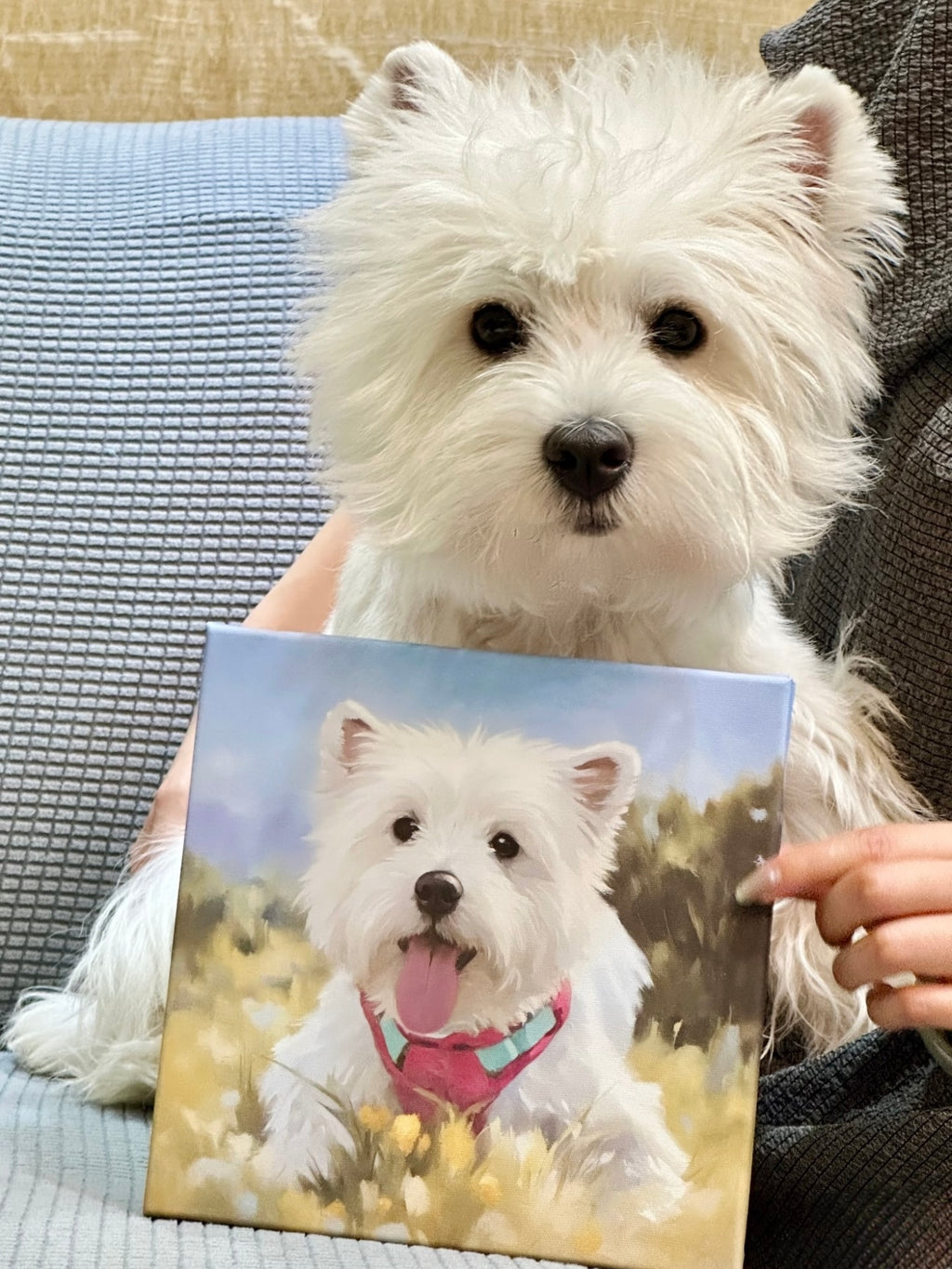 Oil Painting Custom｜Pet Portrait Original