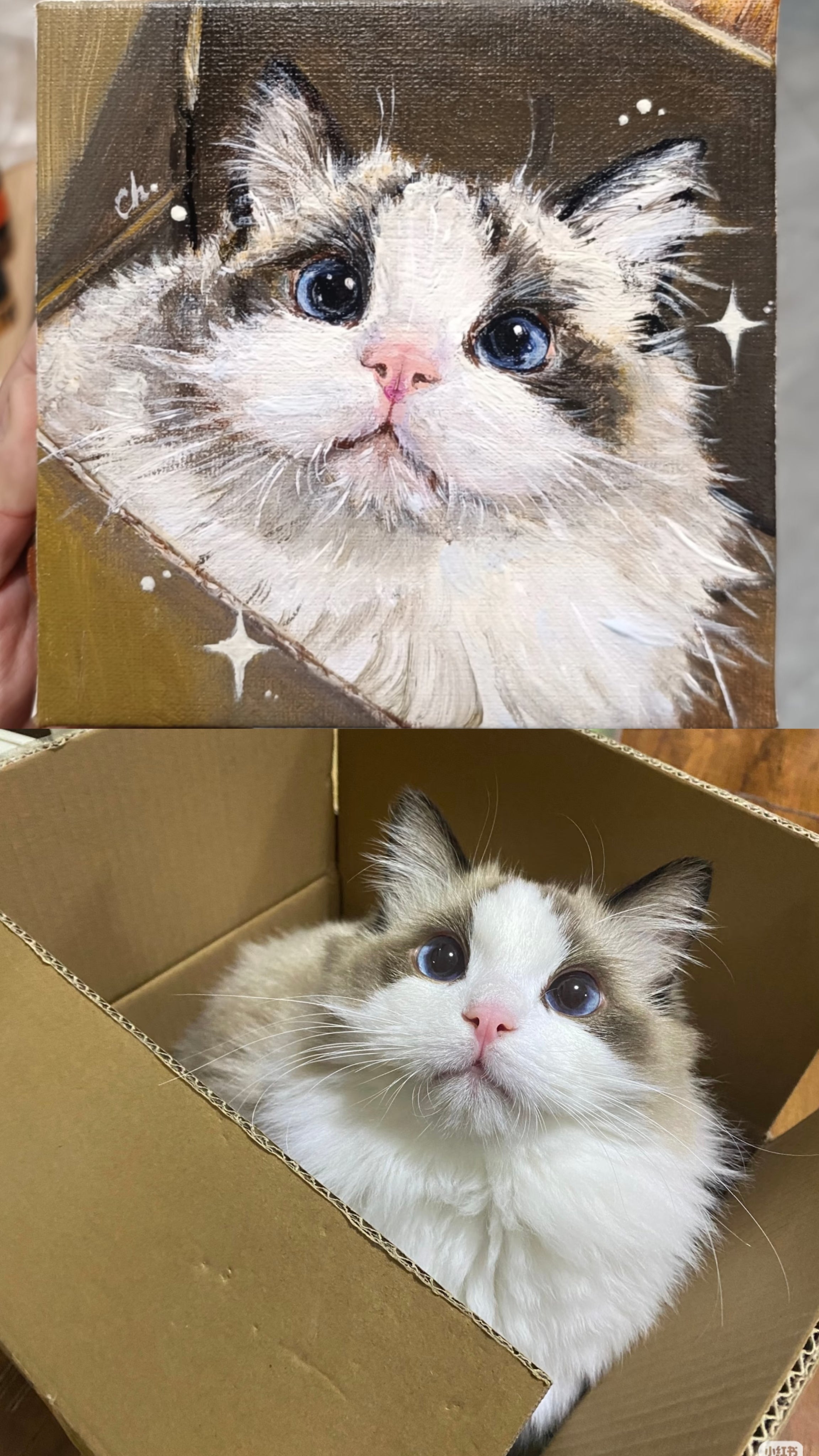 Oil Painting Custom｜Pet Portrait Original